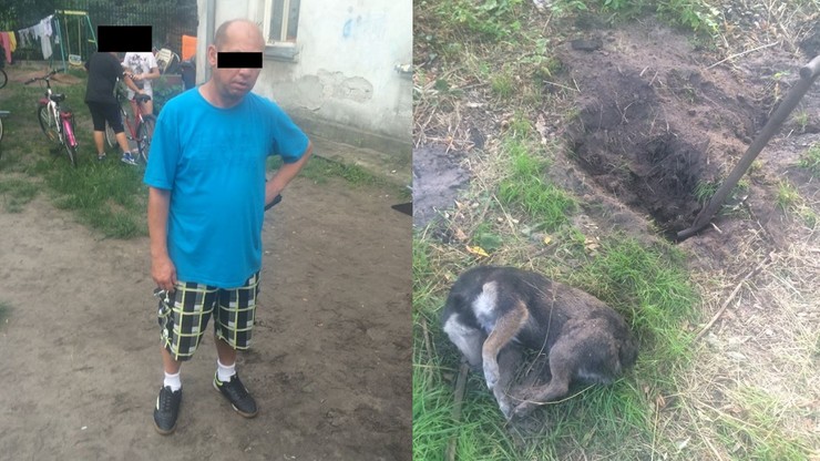 Pijany ojciec na oczach dzieci zakopał psa żywcem