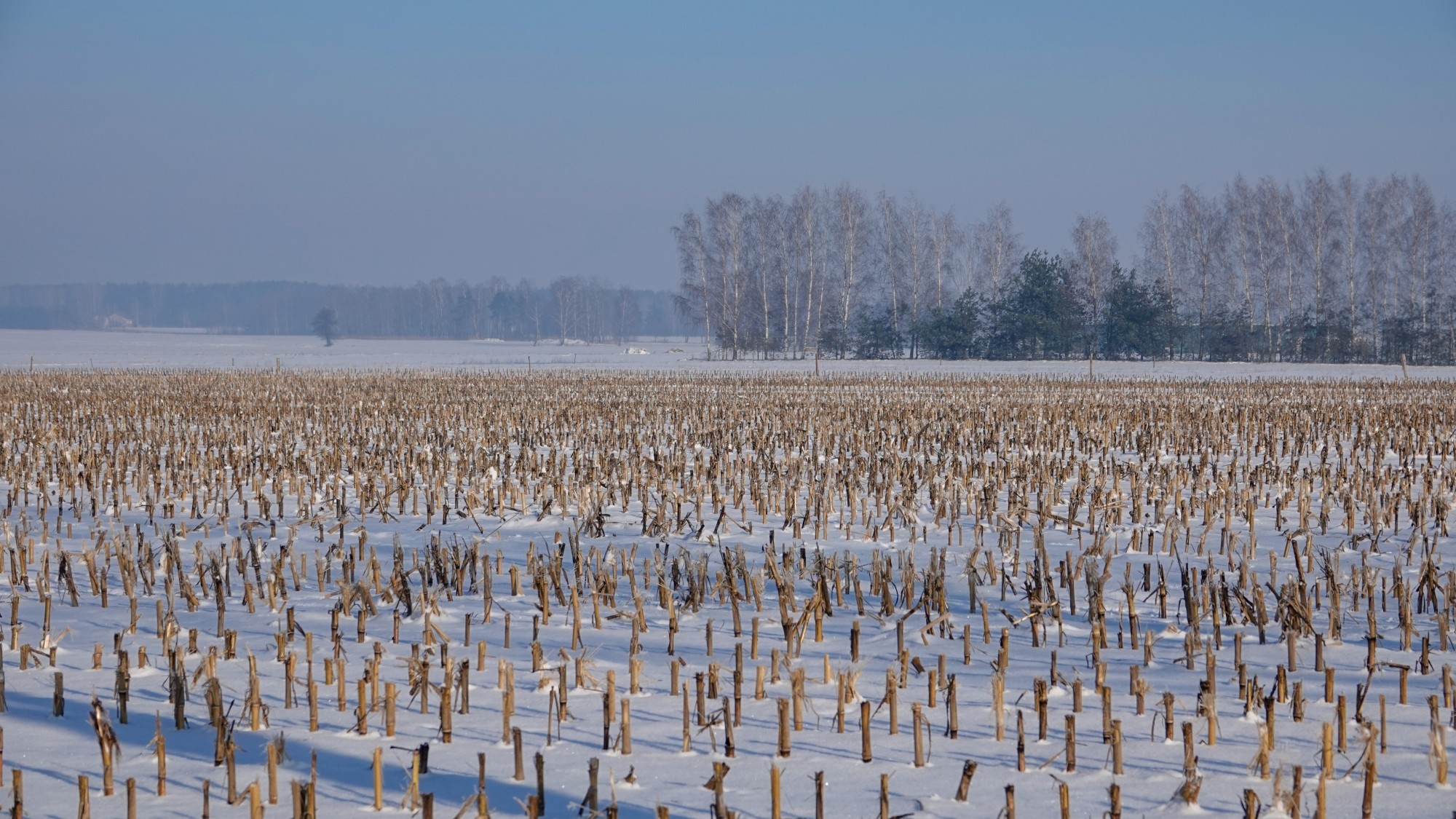 Na lodowym szlaku - zdjęcie 51