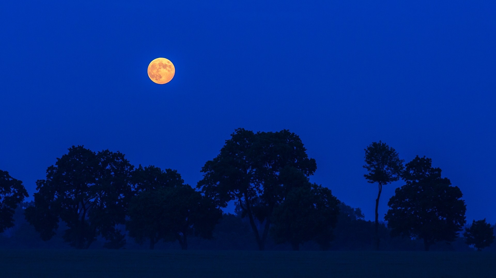 Pełnia Truskawkowego Księżyca - zdjęcie 7