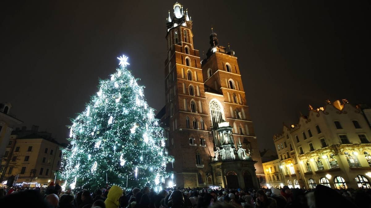 Oświetlona choinka na rynku miejskim w nocy, z tłumem ludzi u jej podstawy i zabytkową wieżą kościelną w tle.