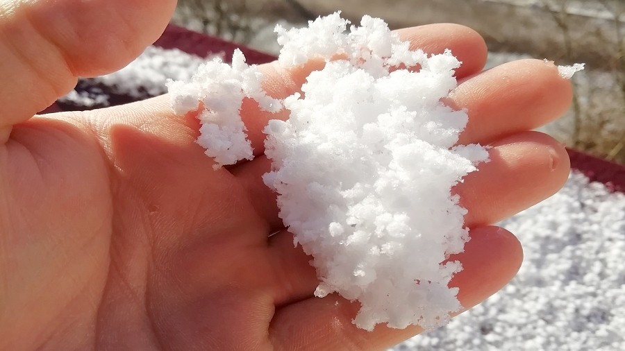 Tak wygląda krupa śnieżna. Fot. Kamil Kurp / TwojaPogoda.pl