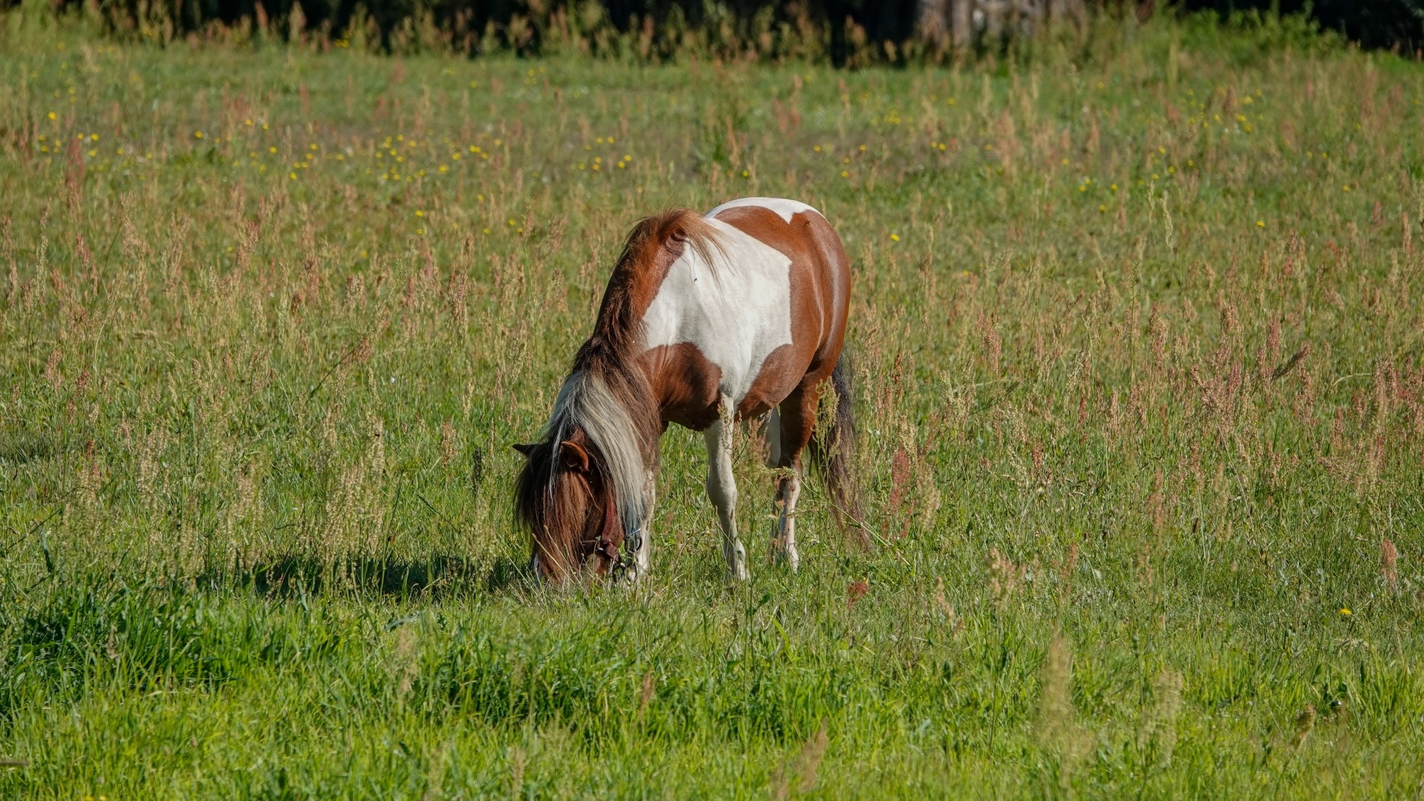 Na pożegnanie lata - zdjęcie 25