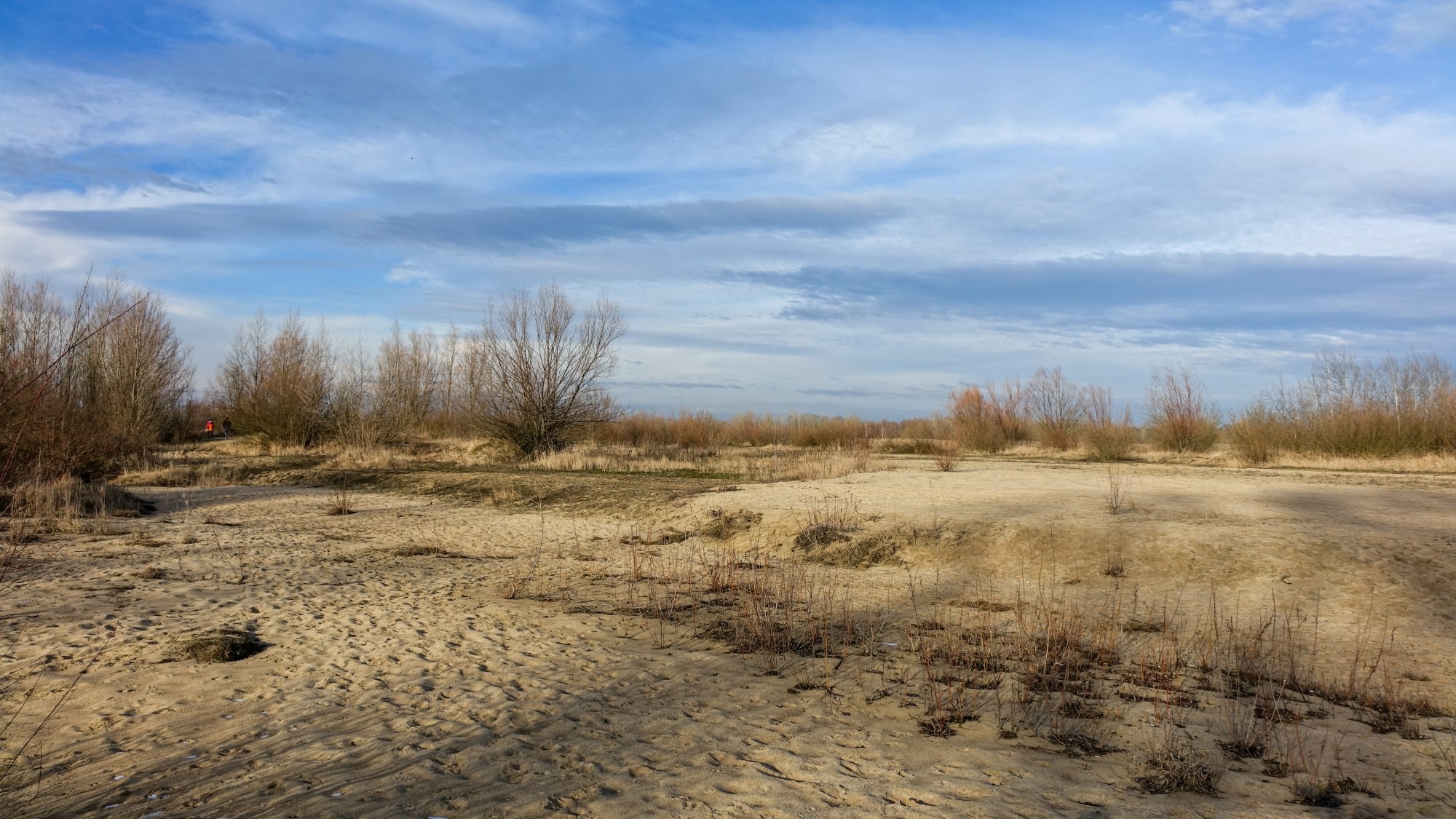 Polskie krajobrazy w 2019 roku - zdjęcie 34
