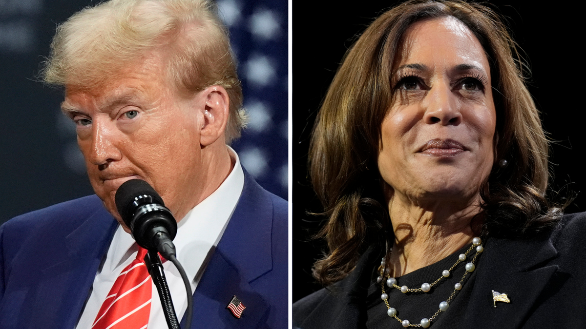 Kamala Harris wyprzedza Donalda Trumpa. Nowy sondaż z USA