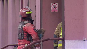 Wybuch gazu w Katowicach. Strażacy wyciągnęli psa spod gruzów. Maks wraca do zdrowia