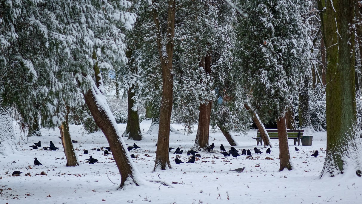 Styczeń w obiektywie - zdjęcie 47