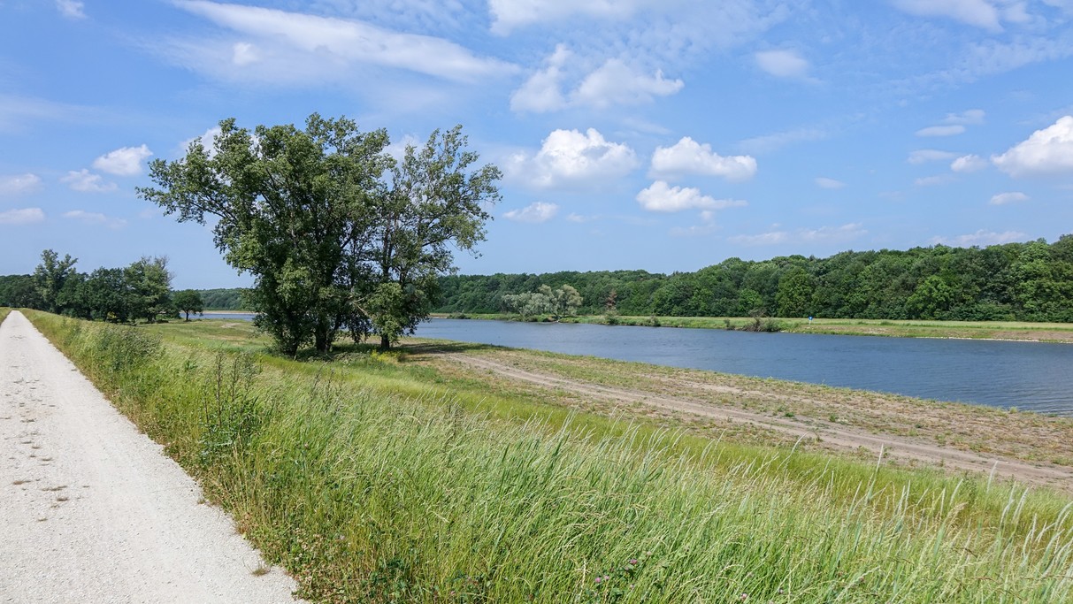 Lipiec w obiektywie - zdjęcie 36