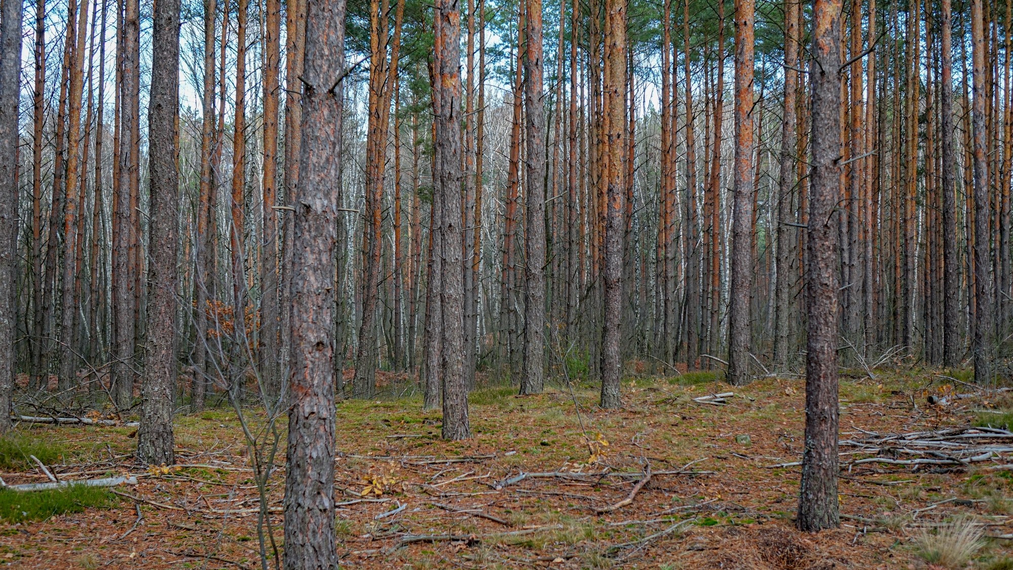 Listopad w obiektywie - zdjęcie 40