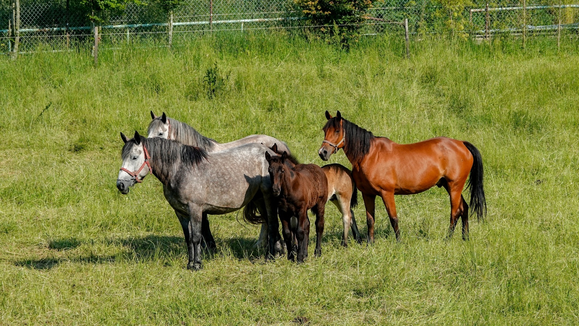 Letnie klimaty na łonie natury - zdjęcie 8
