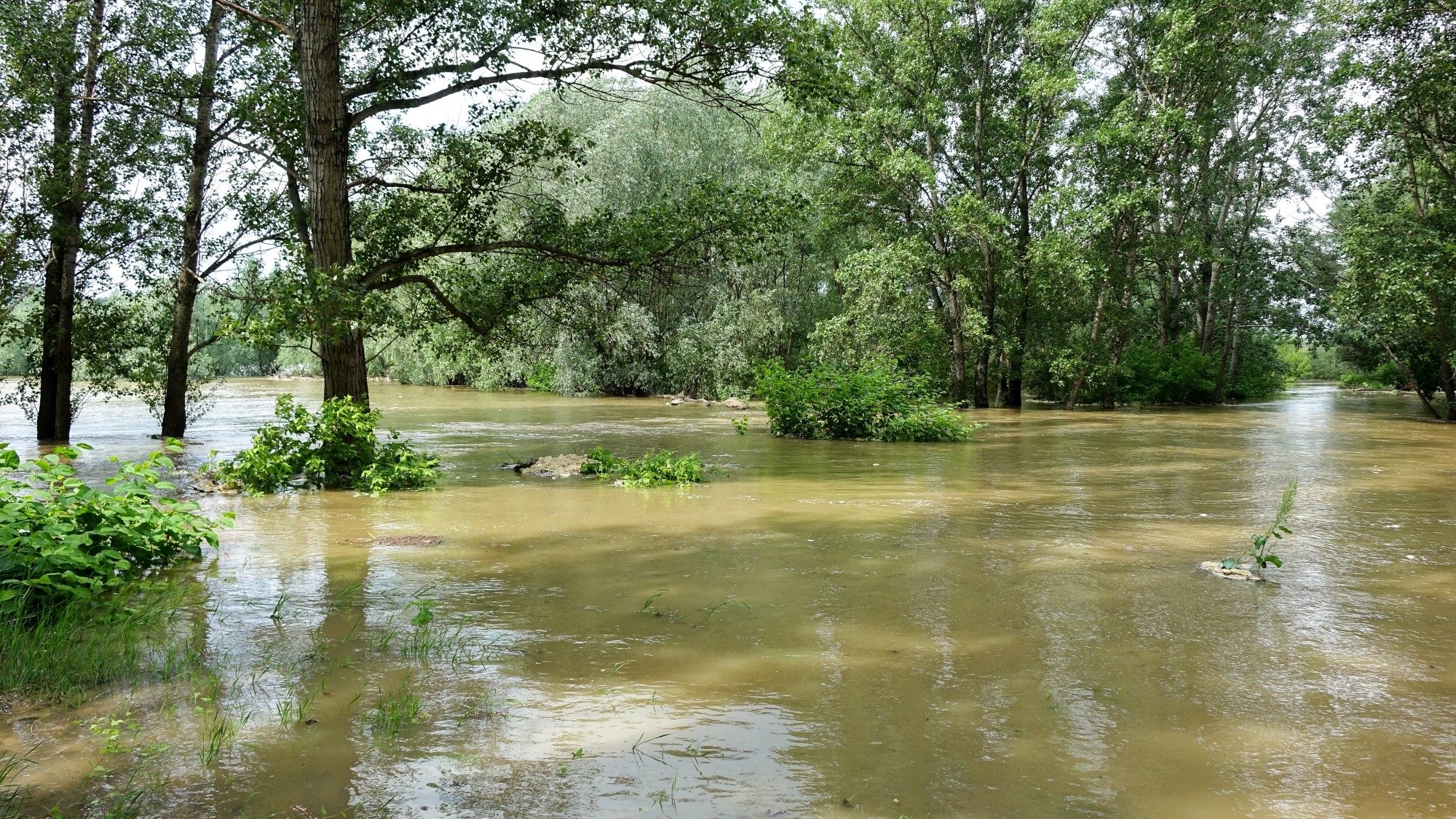 Powódź w Warszawie - zdjęcie 23