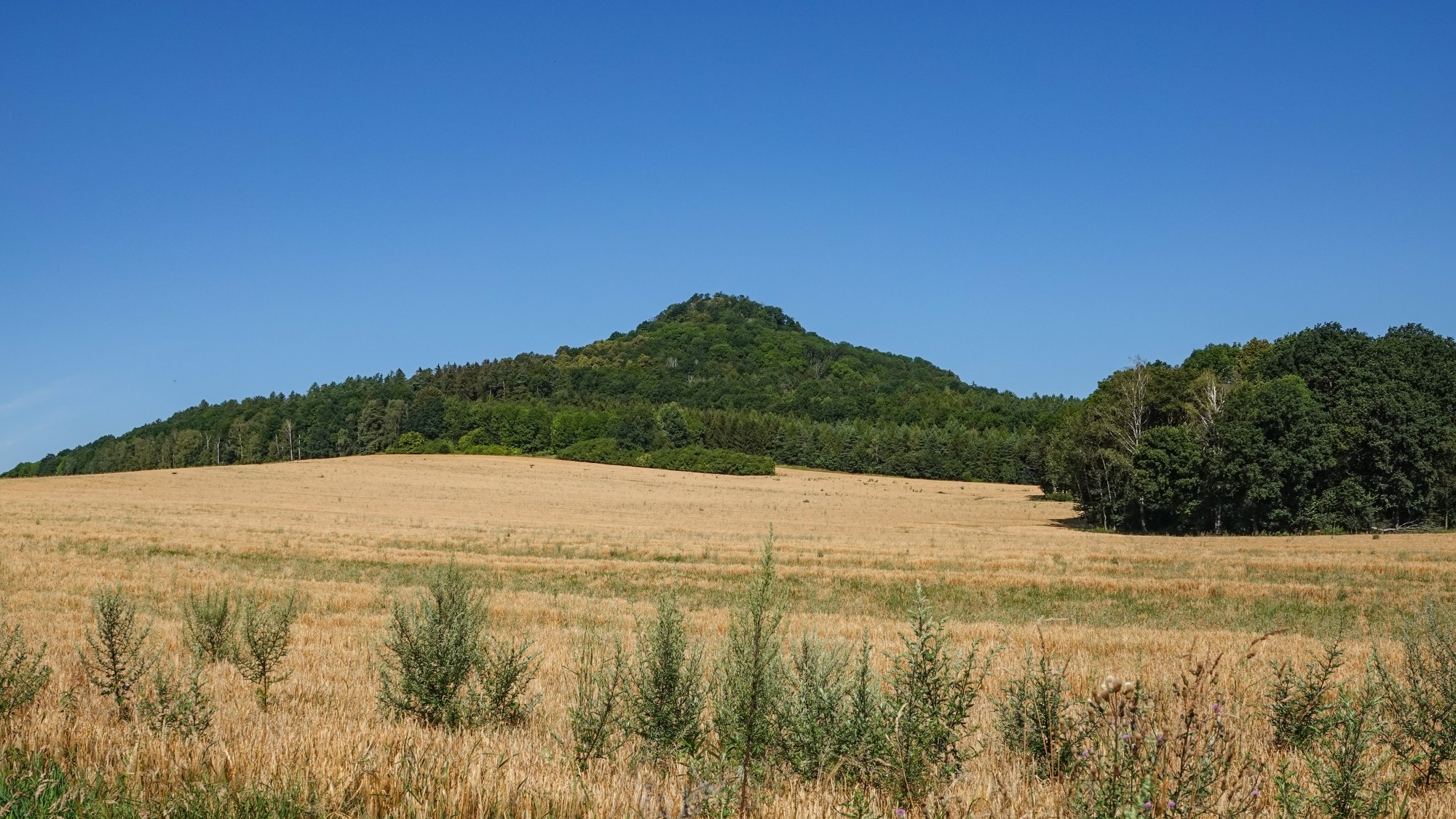 Ostrzyca - polski wygasły wulkan - zdjęcie 6