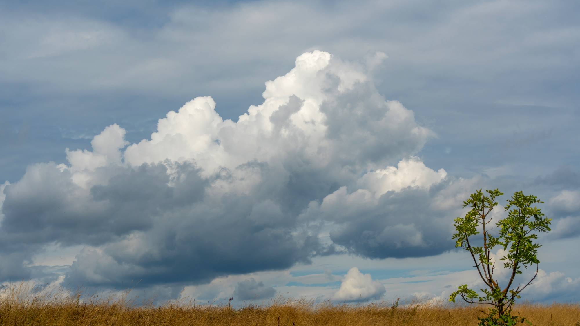 Kolory lata - zdjęcie 22