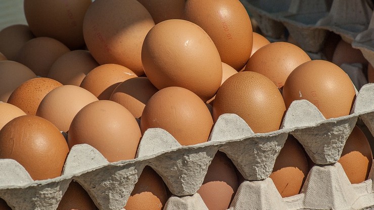 Włoscy rolnicy alarmują: co miesiąc brakuje w handlu 100 mln jaj
