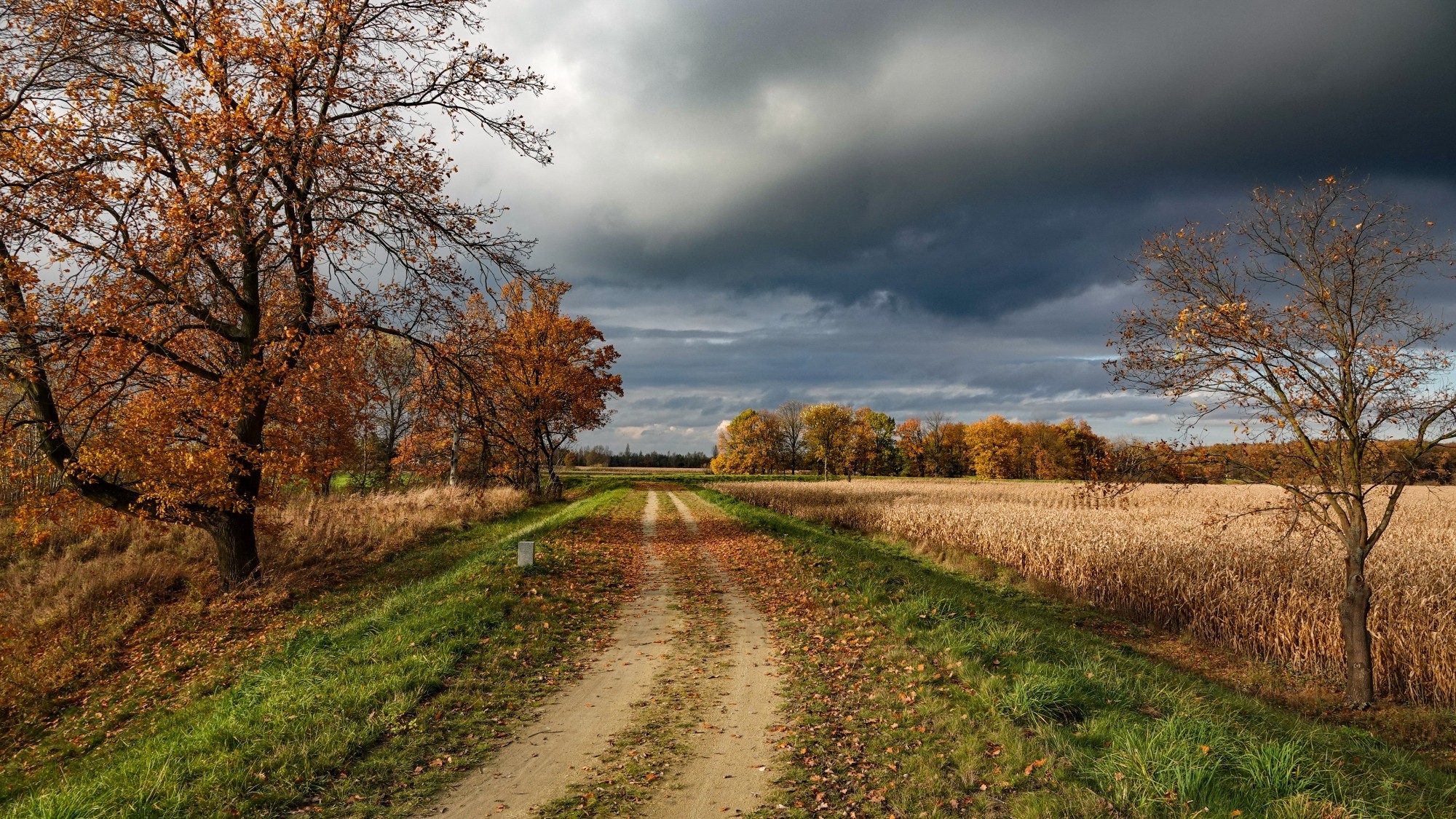 100 najpiękniejszych zdjęć 2020 roku - zdjęcie 31