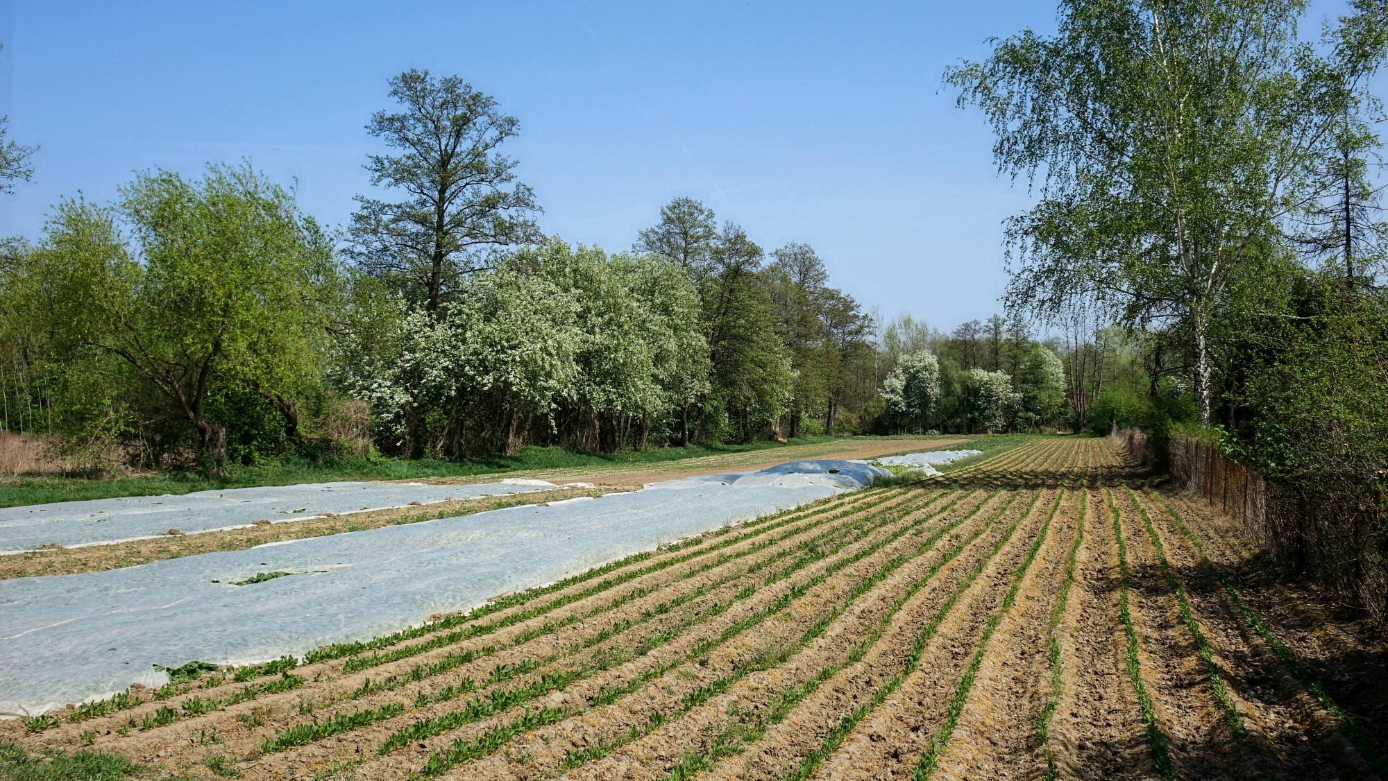 Kwiecień w obiektywie - zdjęcie 21