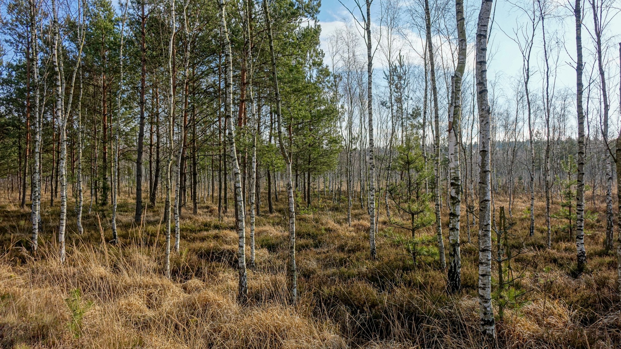 Najcieplejsza zima w historii - zdjęcie 24