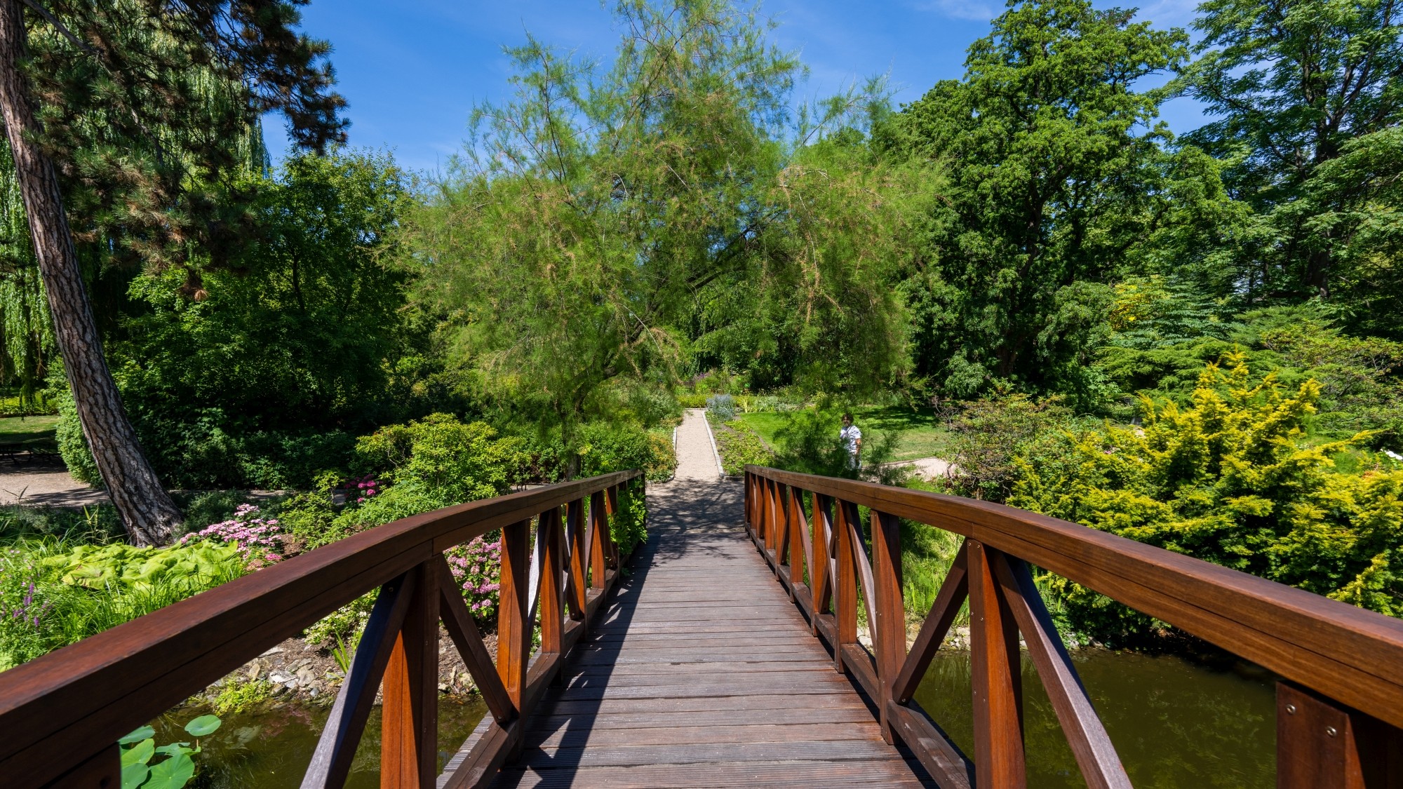 Kolory lata - zdjęcie 40