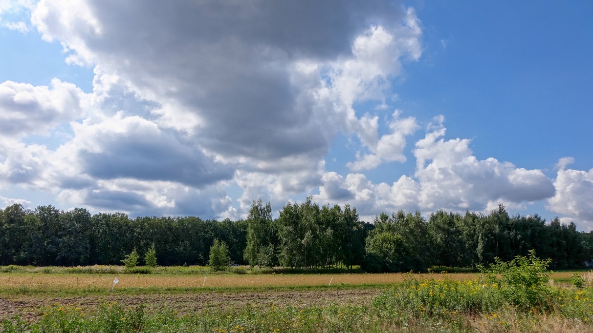Sierpień w obiektywie - zdjęcie 24