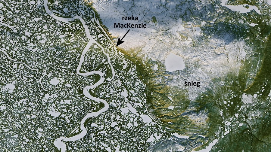 Zdjęcie satelitarne delty rzeki MacKenzie w Kanadzie. Fot. NASA / Landsat-8.