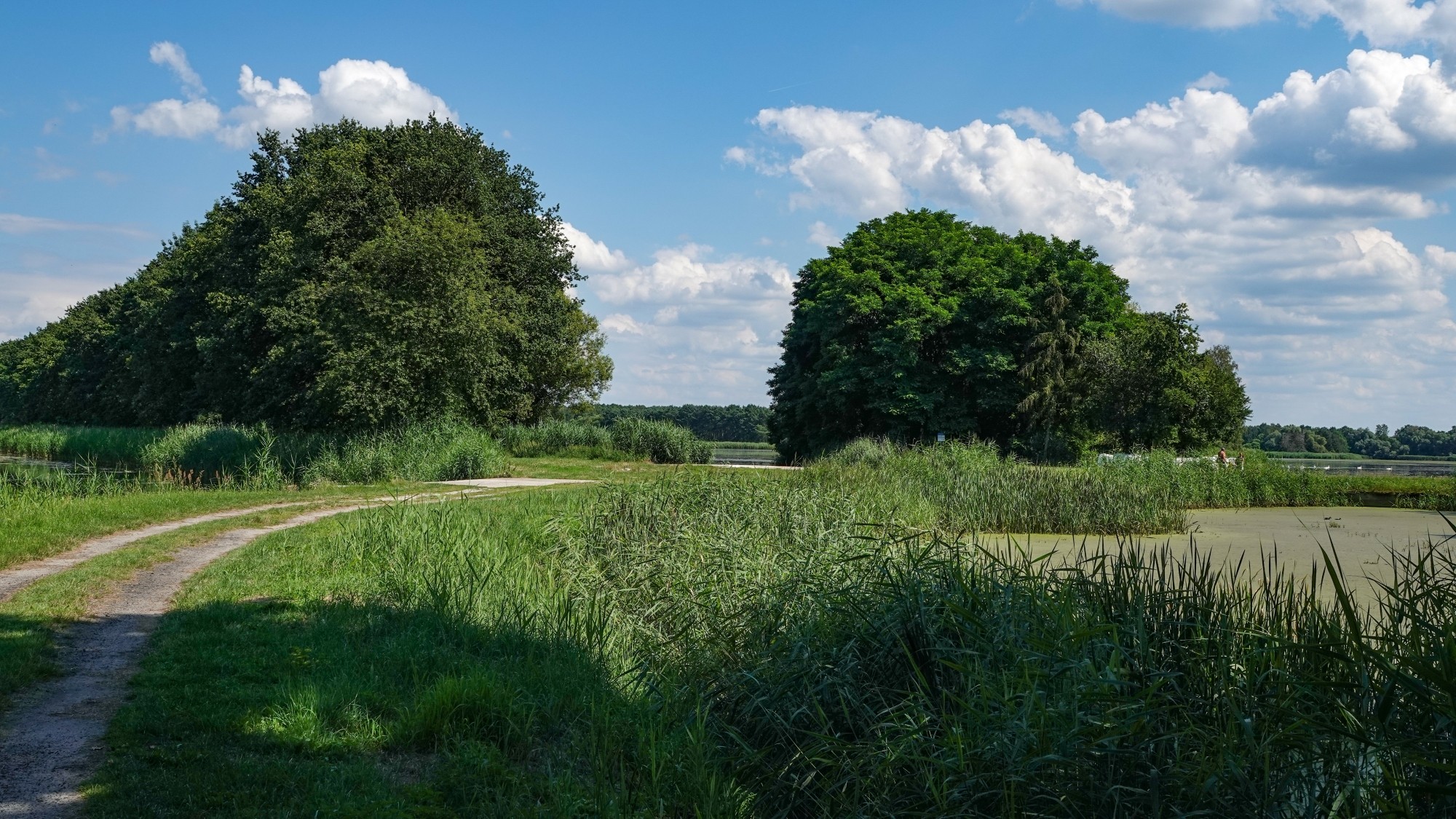 Podróż przez polską prowincję - zdjęcie 40