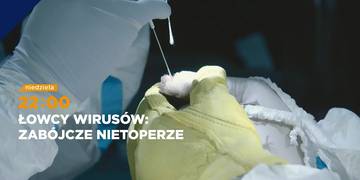 Łowcy wirusów. Zabójcze nietoperze