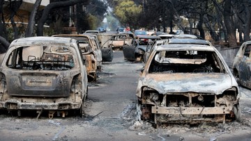 "Za pożarami w Grecji mogą stać koncerny deweloperskie"