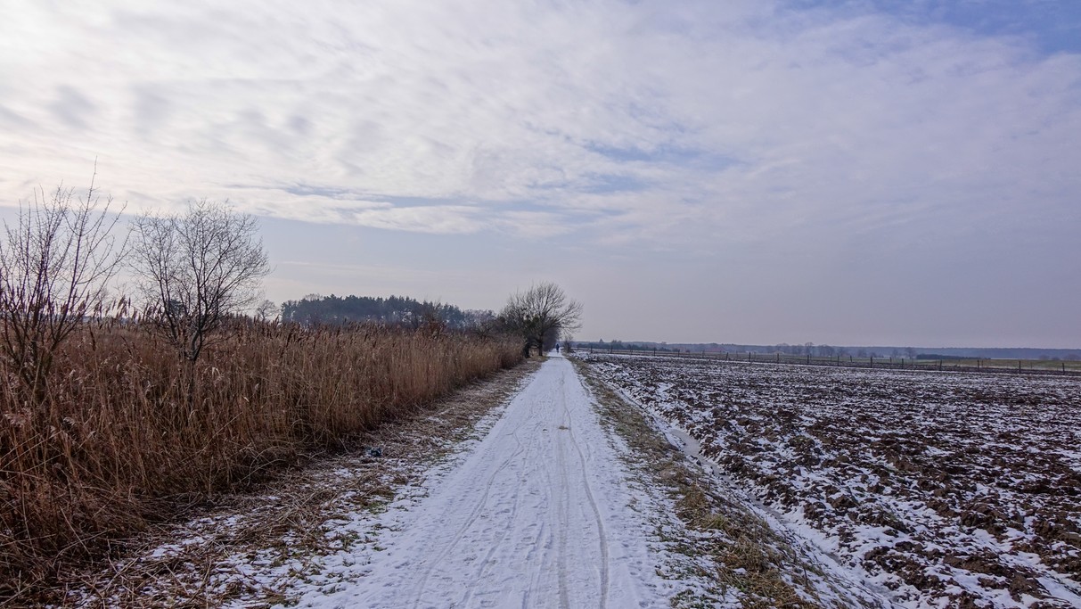Styczeń w obiektywie - zdjęcie 52