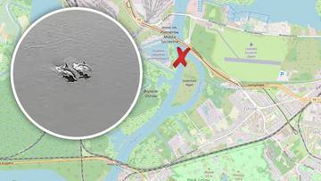 Delfiny w Szczecinie. "Wodne renifery" wpłynęły do Odry