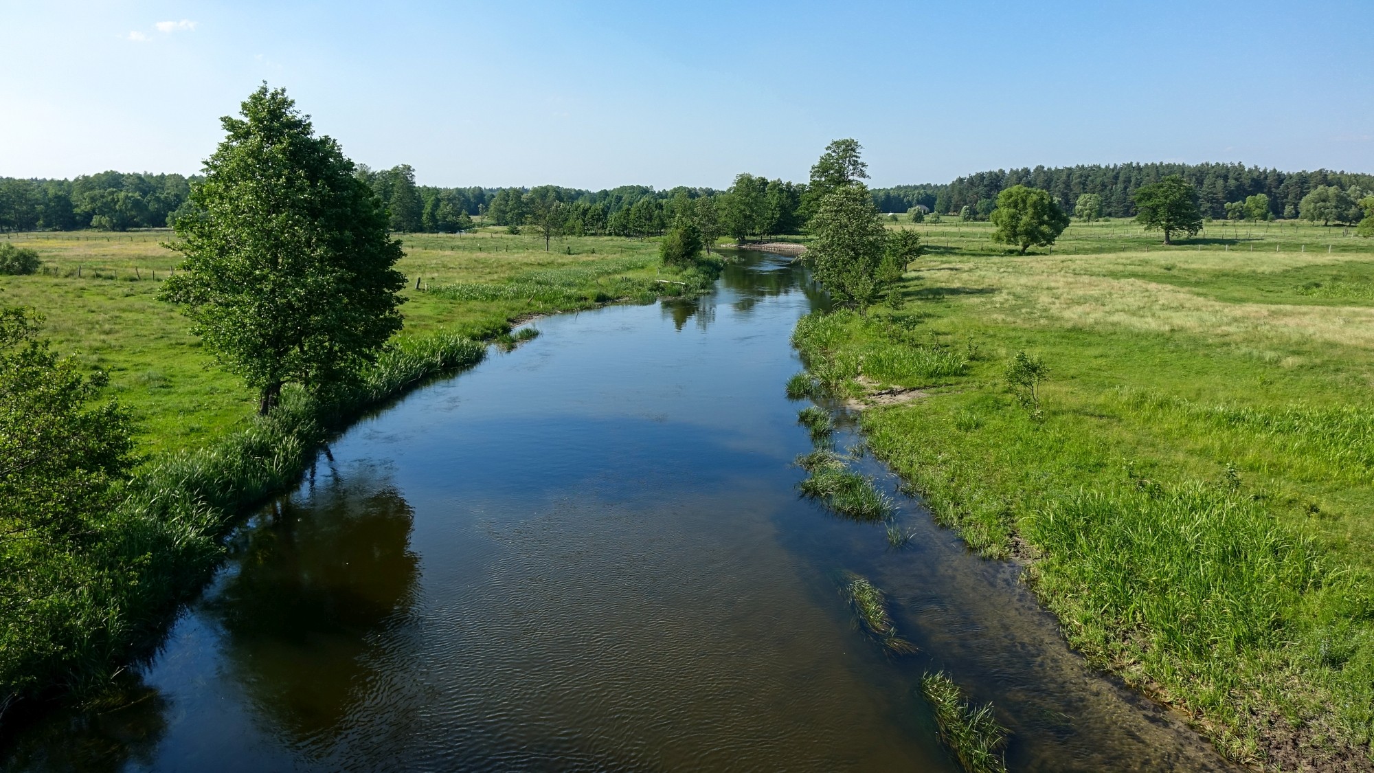 Czerwiec w obiektywie - zdjęcie 11
