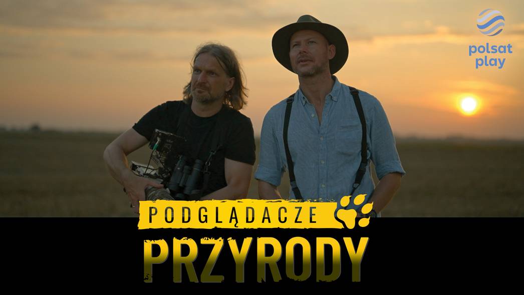 Odkryj piękno polskiej natury. „Podglądacze przyrody” zapraszają w niezwykłą podróż
