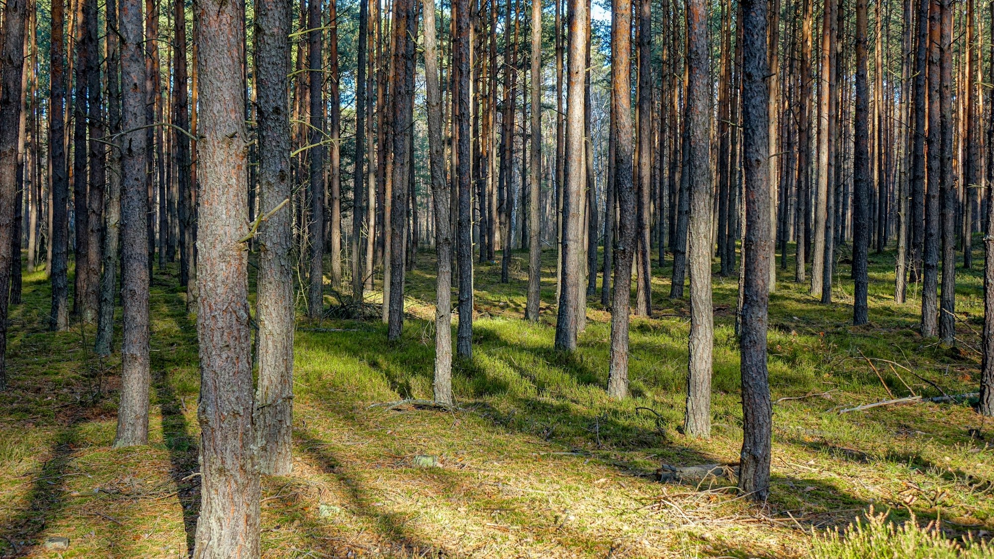 Listopad w obiektywie - zdjęcie 6