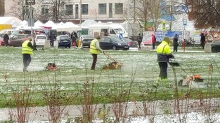 23.11.2022 05:56 Zima zaskoczyła drogowców. Znów kosili śnieg zamiast trawy. Zaskakujące tłumaczenia