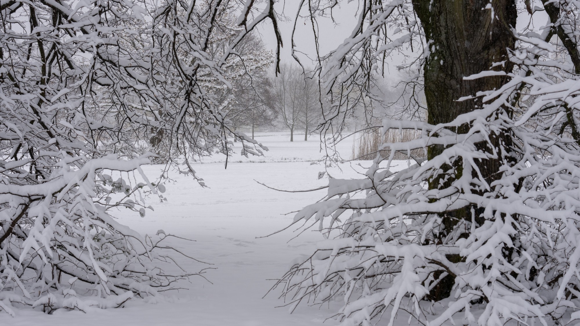 Miejska przyroda - zdjęcie 45