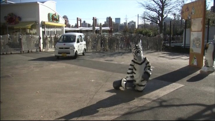 Co robić, gdy z zoo ucieka zebra. Nietypowe ćwiczenia w Tokio