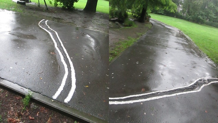 W poznańskim Parku Wilsona wystające z asfaltu korzenie oznakowano białą farbą