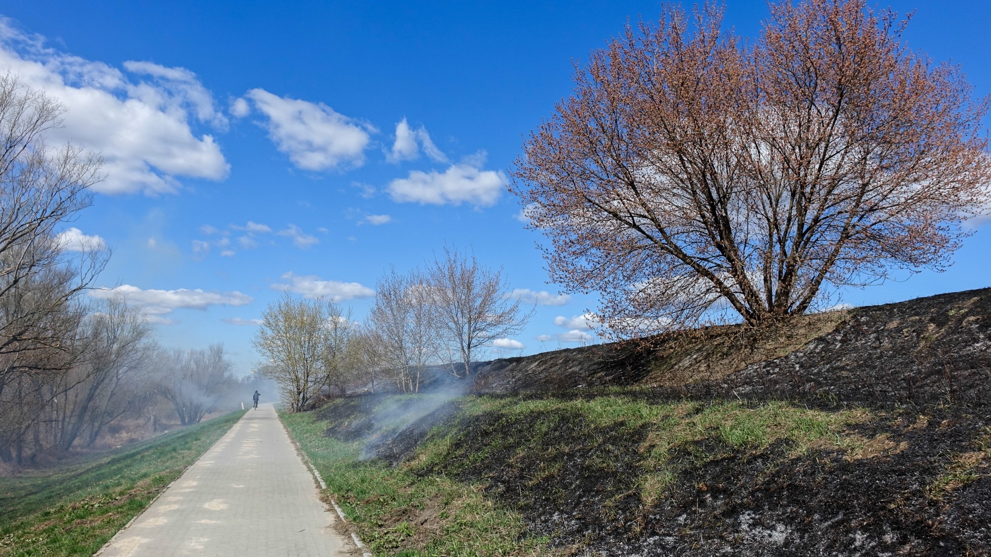 Podróż przez wiosenną Polskę - zdjęcie 4