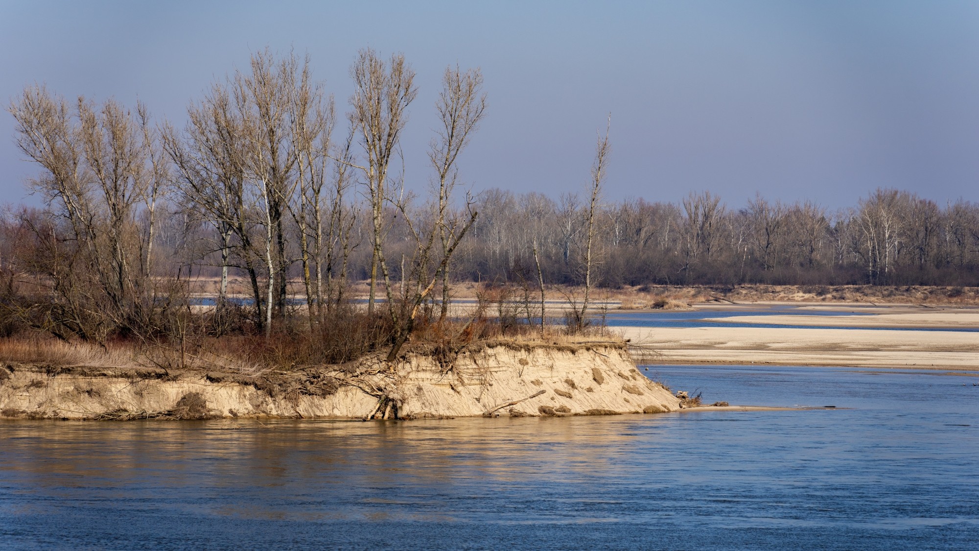 Miejska przyroda - zdjęcie 16
