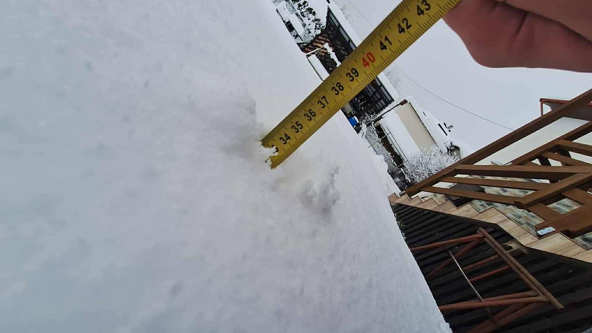 Na Podkarpaciu śnieżyca spowodowała awarie linii energetycznych