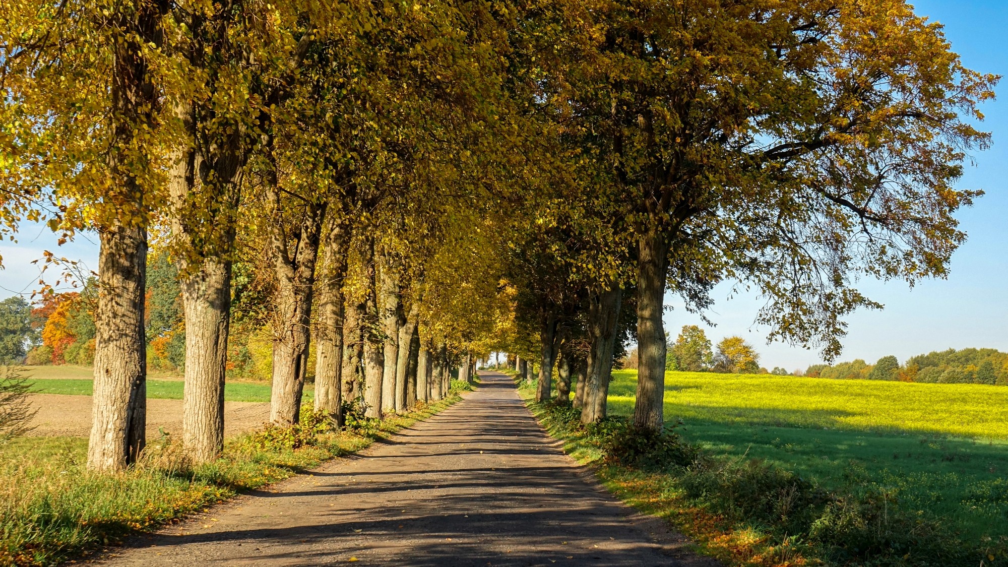 Jesień w górach, lasach i nad jeziorami - zdjęcie 47