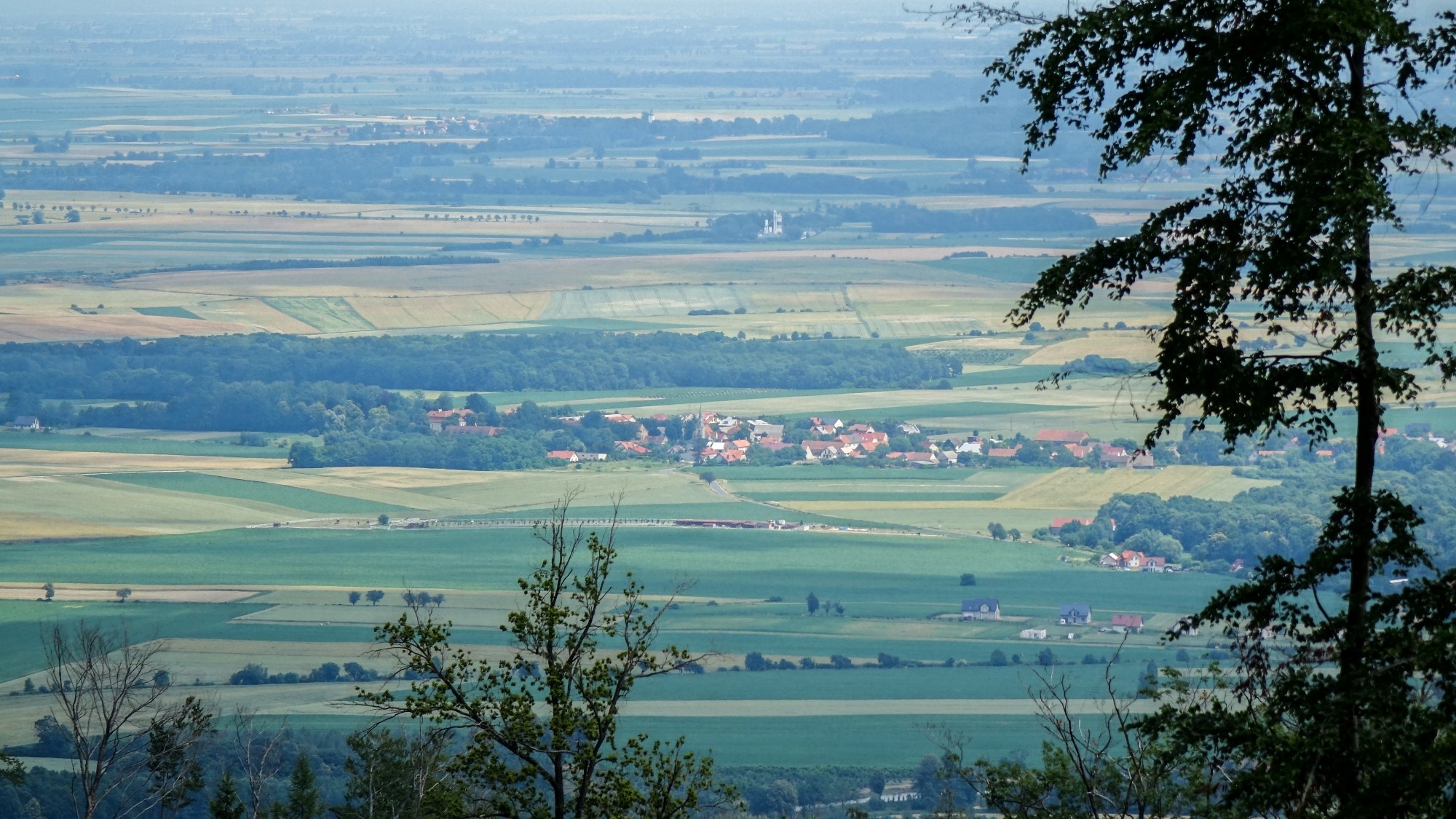 Czerwiec w obiektywie - zdjęcie 16