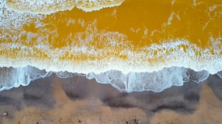02.01.2022 05:56 Woda w Morzu Czarnym u wybrzeży Krymu zmieniła kolor na żółty. Co się tam stało?