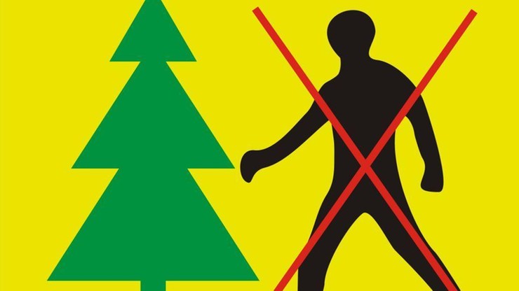 Ogłoszono zakaz wstępu do części Puszczy Białowieskiej. "Martwe drzewa zagrażają bezpieczeństwu"