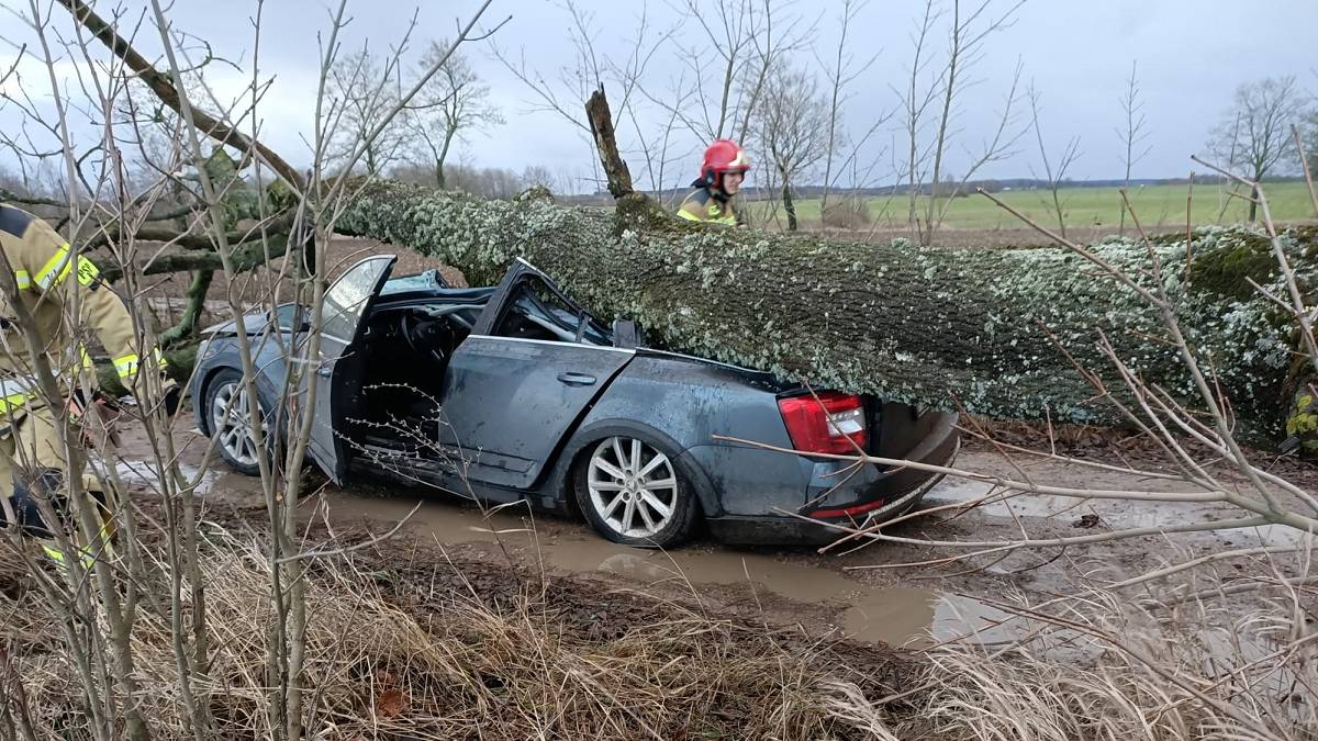 Drzewo spadło na drzewo na Mazurach. Ranna została kobieta. Fot. KW PSP Olsztyn.