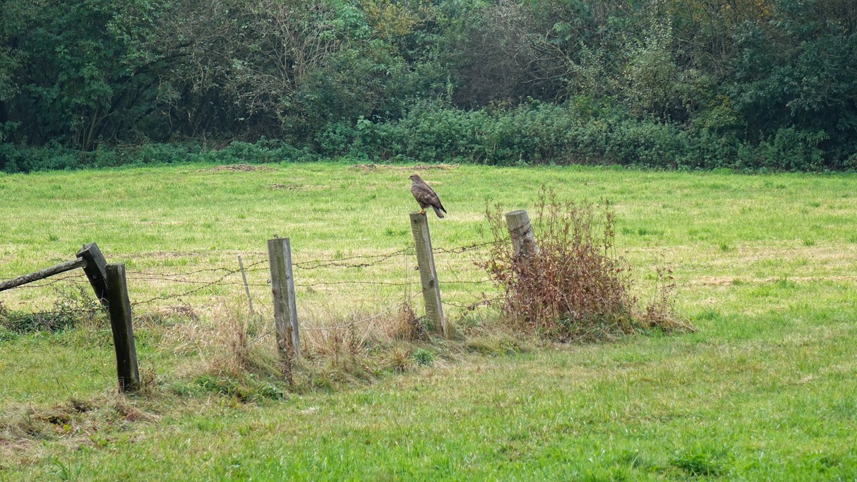 Jesienne krajobrazy za miastem - zdjęcie 51