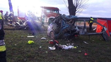 Samochód zderzył się z dzikiem, potem uderzył w drzewo. Nie żyje kobieta i miesięczne dziecko