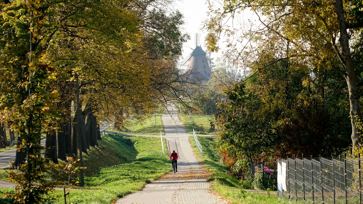 Październik w obiektywie - zdjęcie 54