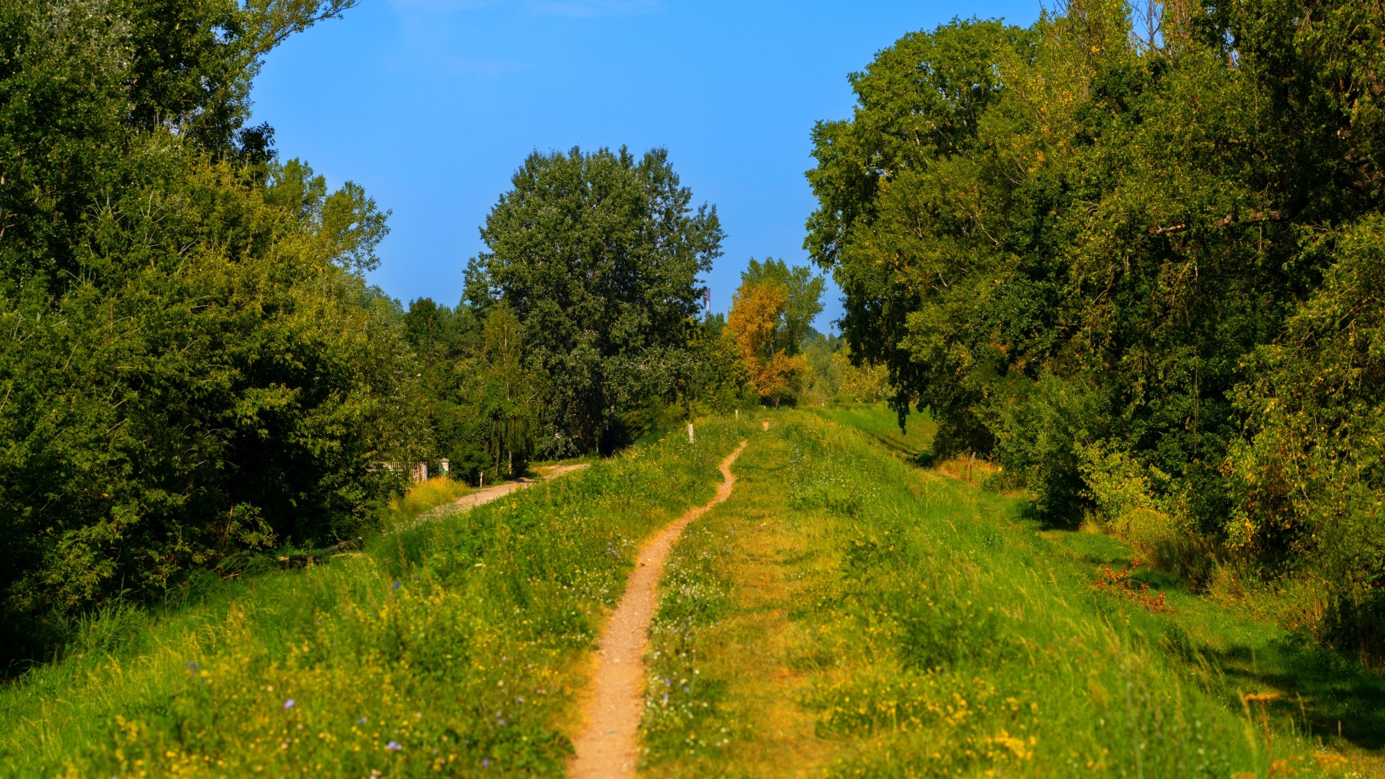 Wśród natury - zdjęcie 45