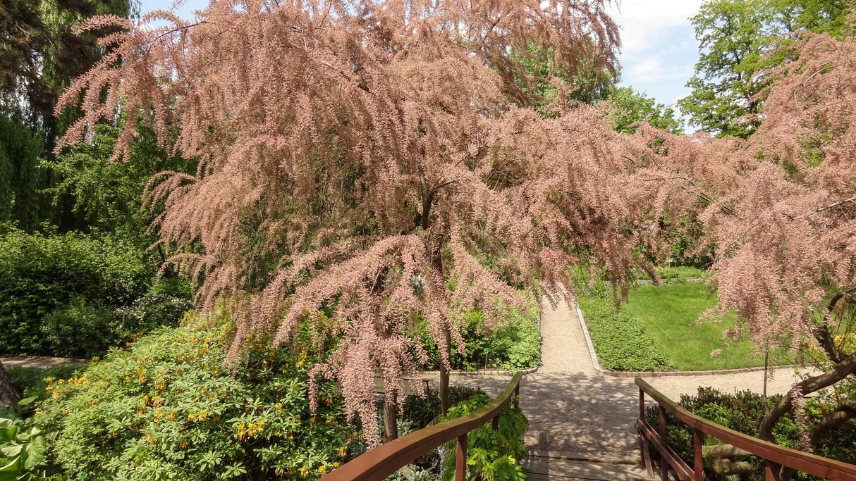 Piękno polskich krajobrazów - zdjęcie 26