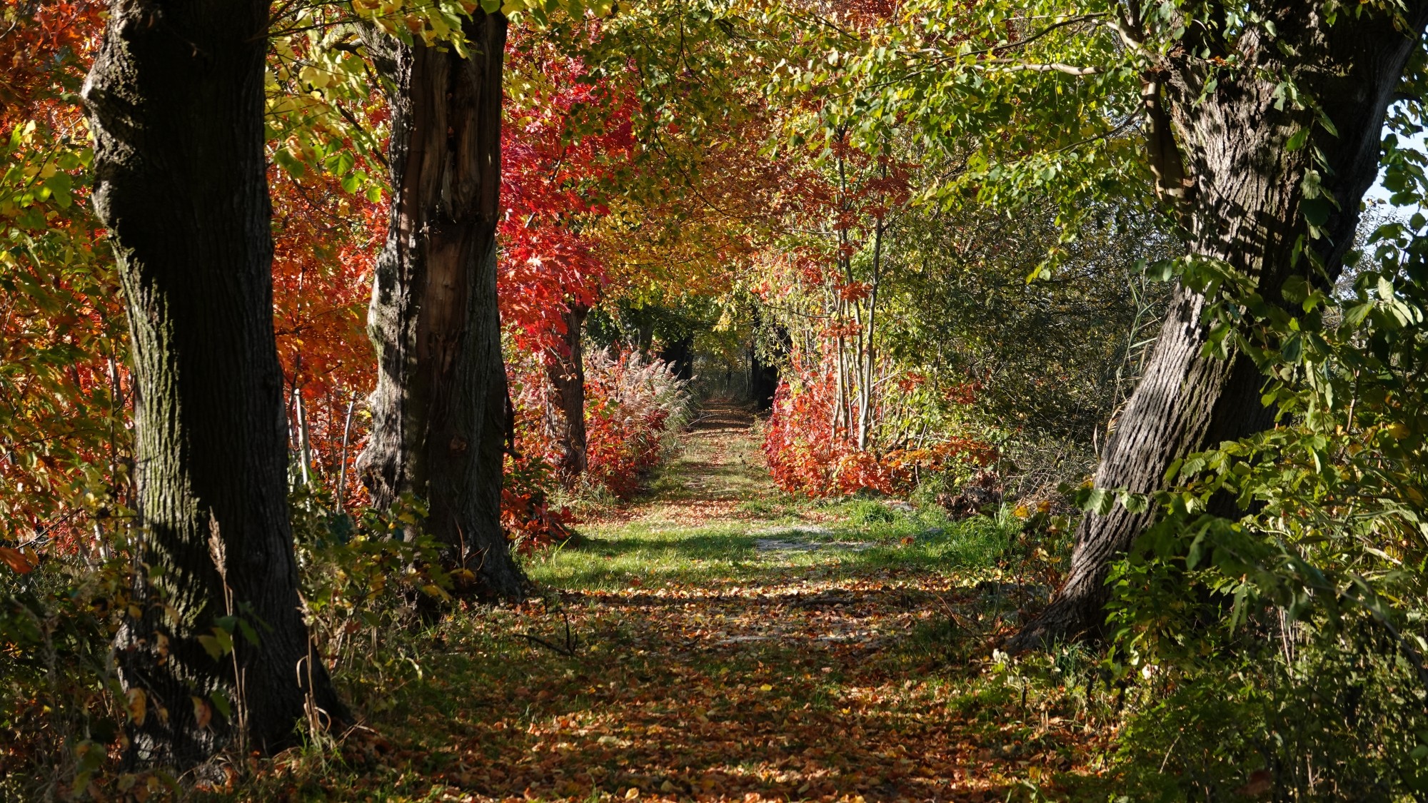 Jesienne klimaty - zdjęcie 26