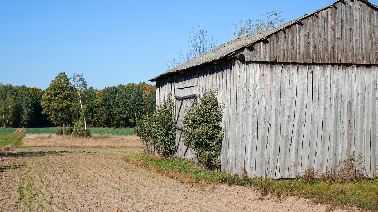 Podróż przez jesienną Polskę - zdjęcie 11